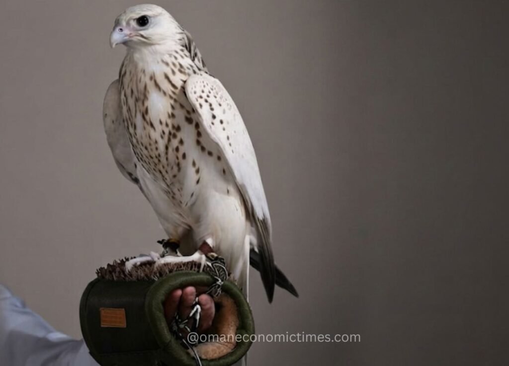 Record-Breaking Falcon Sale Highlights Global Appeal at Abu Dhabi Exhibition